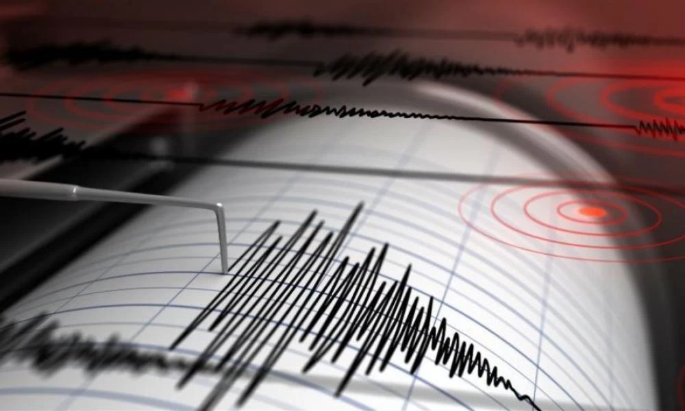 Σεισμική δόνηση 4,8 Ρίχτερ σημειώθηκε στην Τουρκία